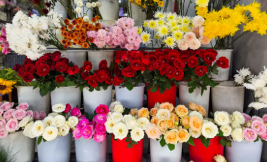 花头大小检测步骤的智能化实现路径