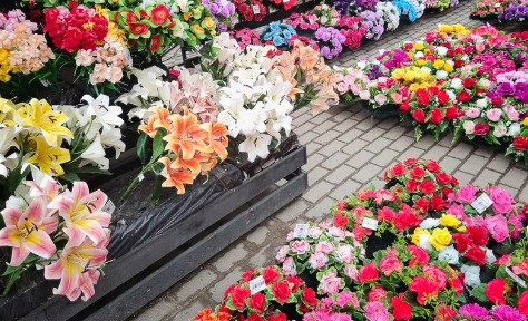 鲜花分选中的视觉检测方法如何实现高精度?