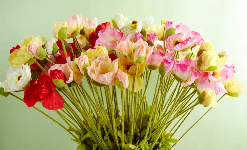 茎秆粗度检测标准如何提升成品一致性？