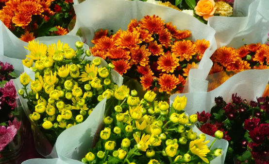 鲜花出口前的检测步骤与征图方案对接