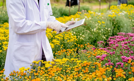 鲜花智能检测步骤在高效分仓中的作用