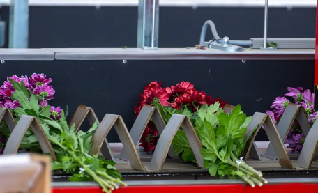 花枝长度检测方法如何保证精确分级？