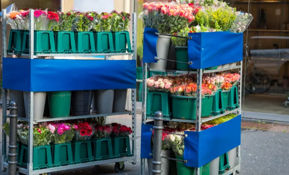 鲜花智能分选中的六大检测方法介绍