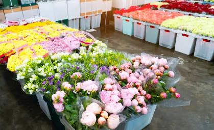 征图智能检测标准与传统人工标准对比