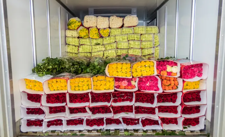 鲜花智能化检测标准的未来趋势