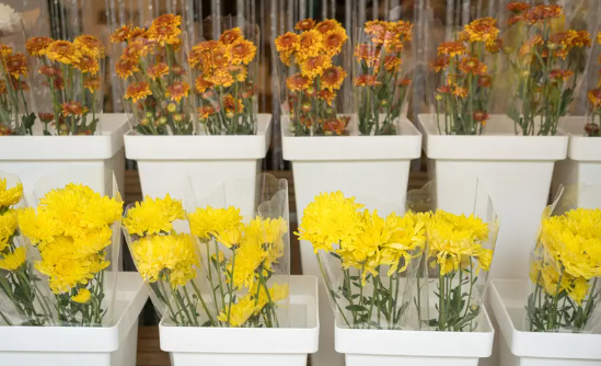 鲜花检测步骤自动化升级趋势