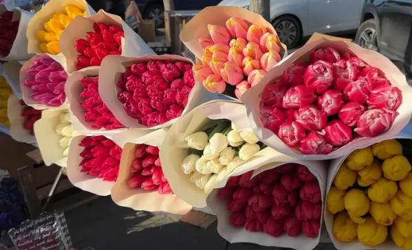 开放度检测标准如何影响花卉商品化？