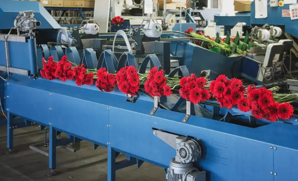 如何选择合适的鲜花检测方法？征图方案推荐