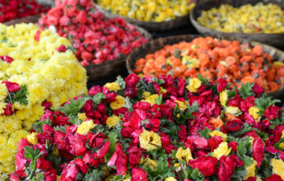 鲜花检测设备如何量化新鲜度？