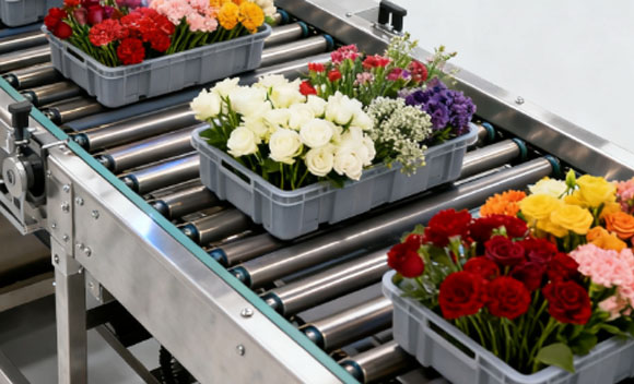 分拣会不会损伤花朵？   