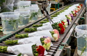 上料速度会影响分选效果吗? 上料速度会影响分选效果吗?